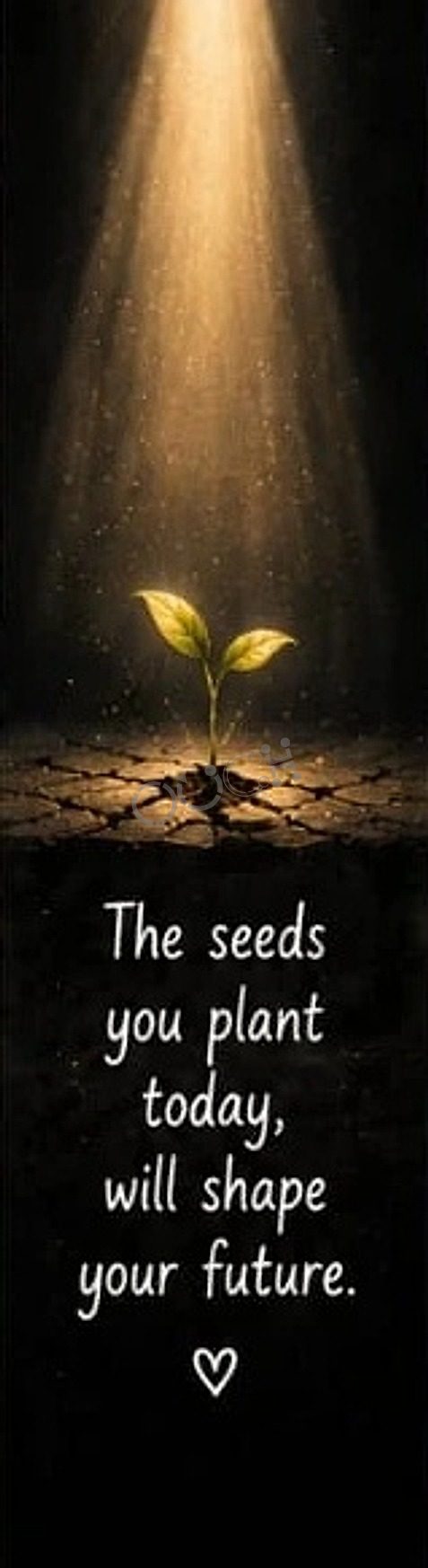 Seeds You Plant — Ouch bookmark